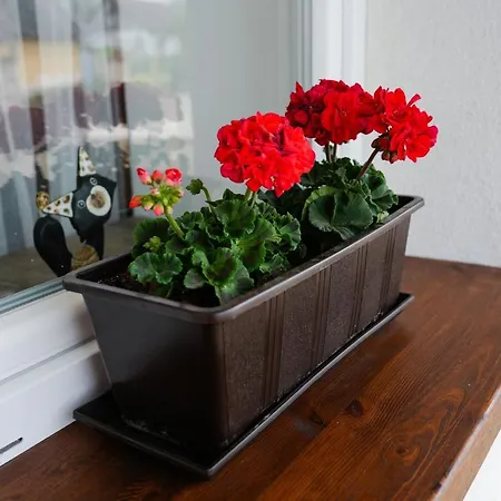 Apartment Frissitopont Vendeghaz Kisszekely