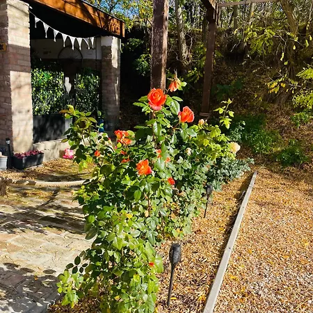 Frissitopont Vendeghaz Apartament